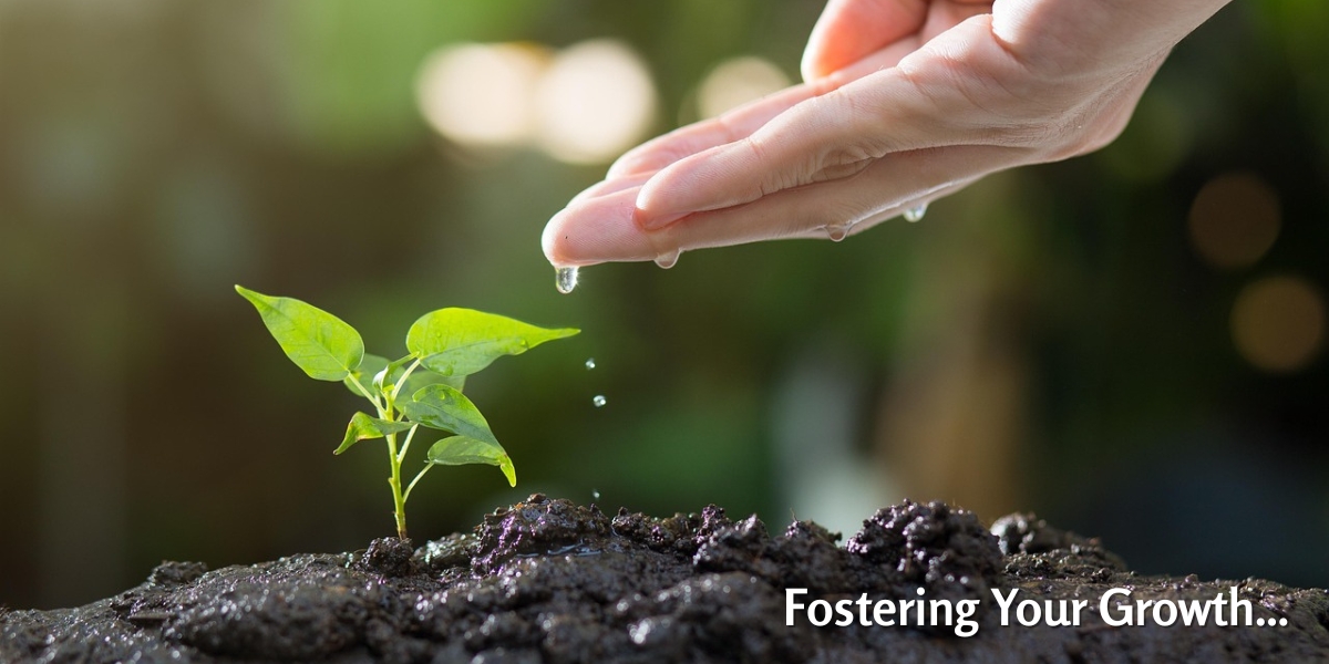 Fostering your growth