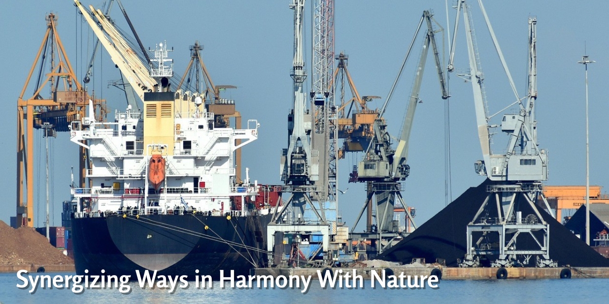 Synergizing ways in harmony with nature